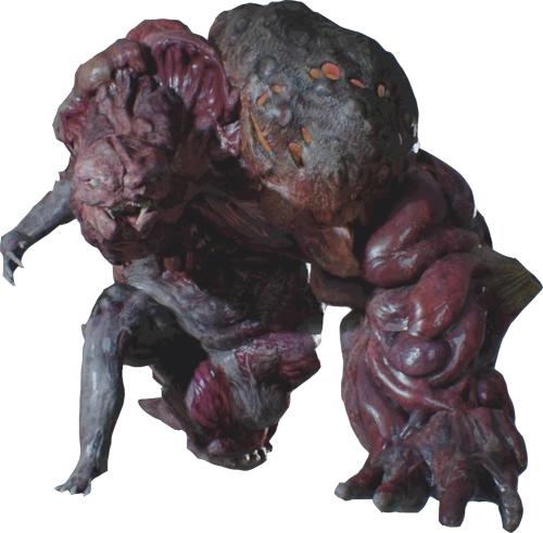 G بزرگسال RE2Remake