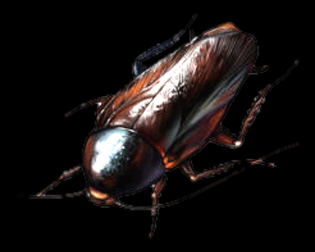 سوسک غول‌ پیکر RE2Remake